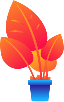 Managed IT Services